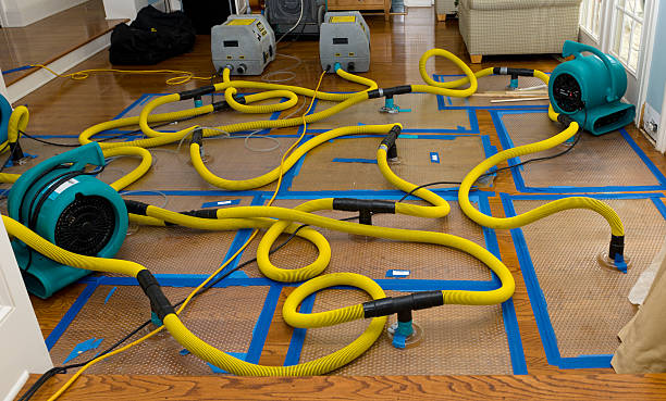 Professional Structural Drying And Dehumidification technician working in Medford, MN